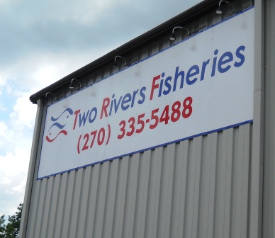 Ballard County carp processing plant