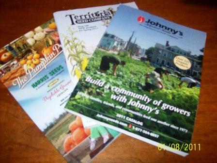 Suzanne's favorite seed catalogues