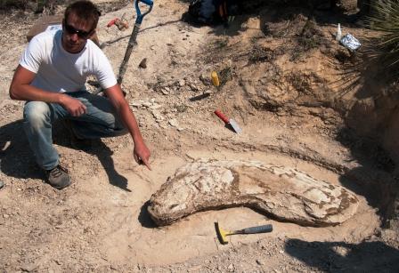 Aaron Scott, a senior geoscience major from Dukedom, Tenn. is pictured with the mosasaur fossil that UT Martin geology students uncovered during an excavation in Kansas. The dig was funded by the Kirkland Foundation which is the main source of funding for Discovery Park of America, the educational and entertainment complex presently being built in Union City. 